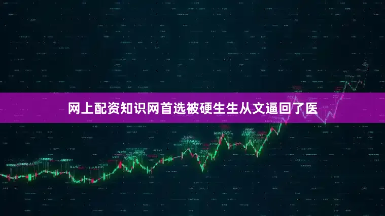 网上配资知识网首选被硬生生从文逼回了医
