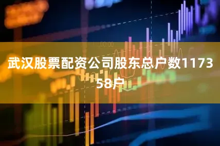 武汉股票配资公司股东总户数117358户